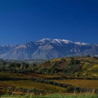 Abruzzo: in un anno persi 7000 residenti